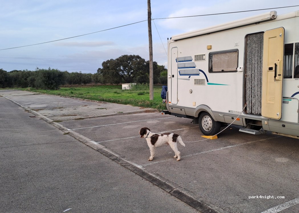 , 30 Largo da Aldeia thumbnail 5