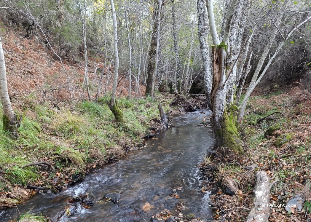 Rihonor de Castilla,Unnamed Road thumbnail 2