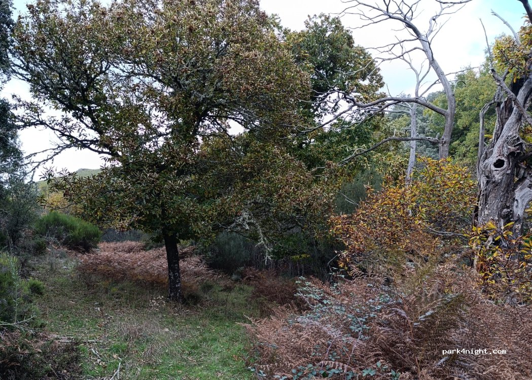 Rihonor de Castilla,Unnamed Road thumbnail 3