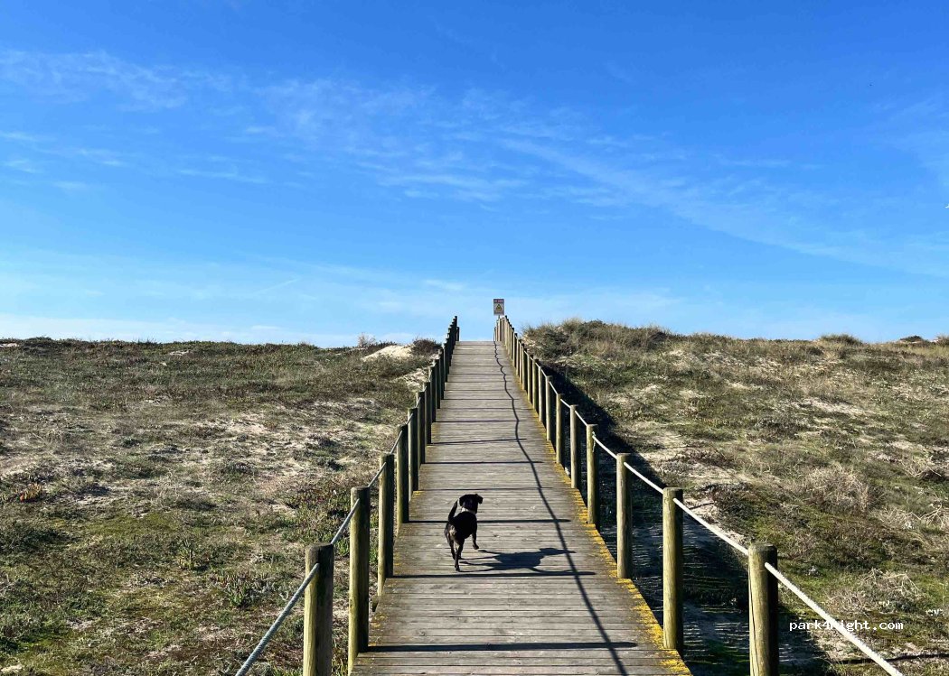 Azurara, 100 Rua do Gaiato thumbnail 2