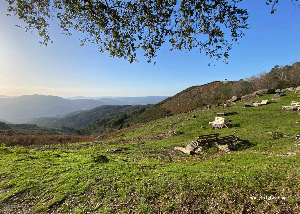 Chorense, thumbnail 4