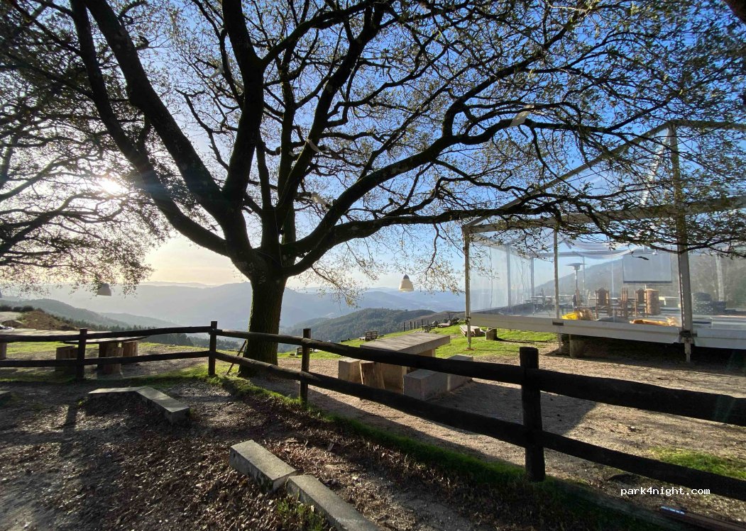 Chorense, thumbnail 5