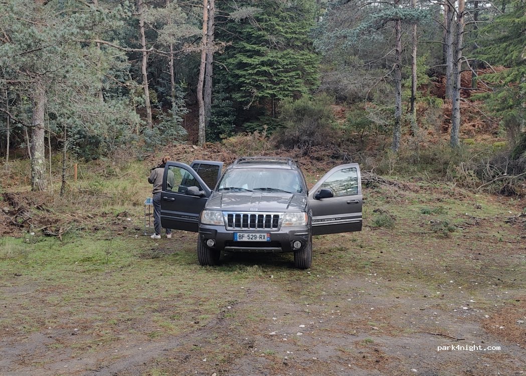 Painzela, thumbnail 4