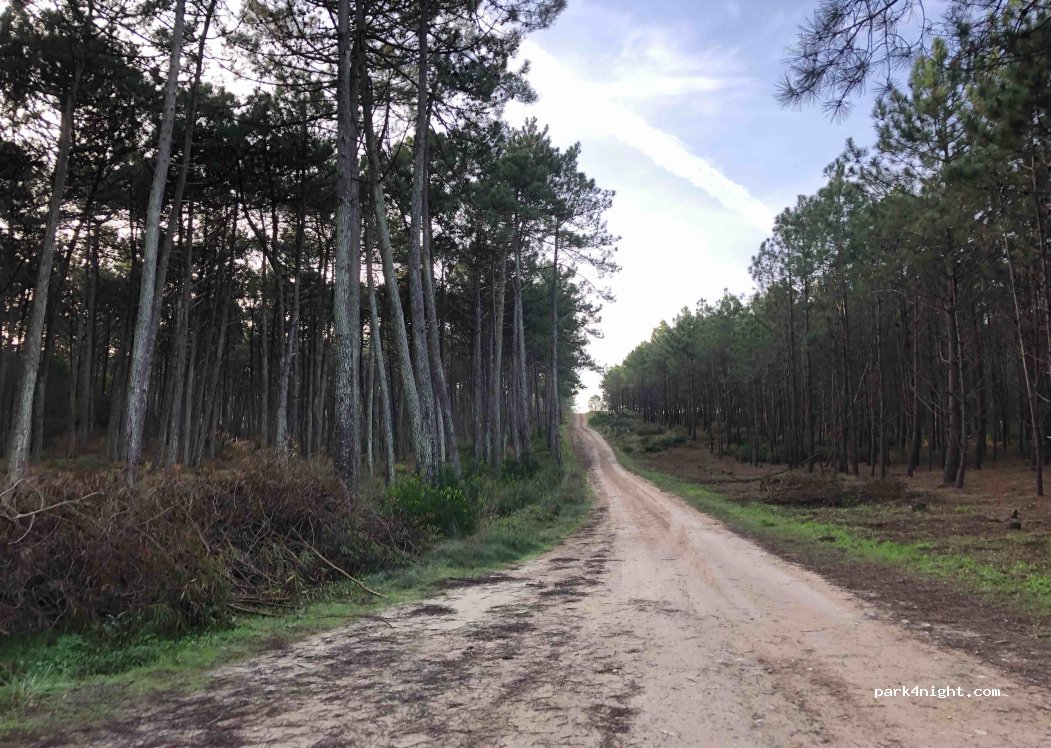 Ferrel - Unnamed Road photo 5
