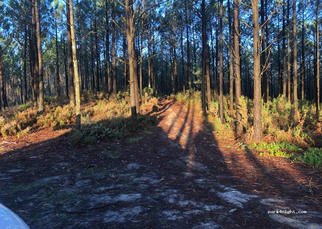 Pataias, thumbnail 3