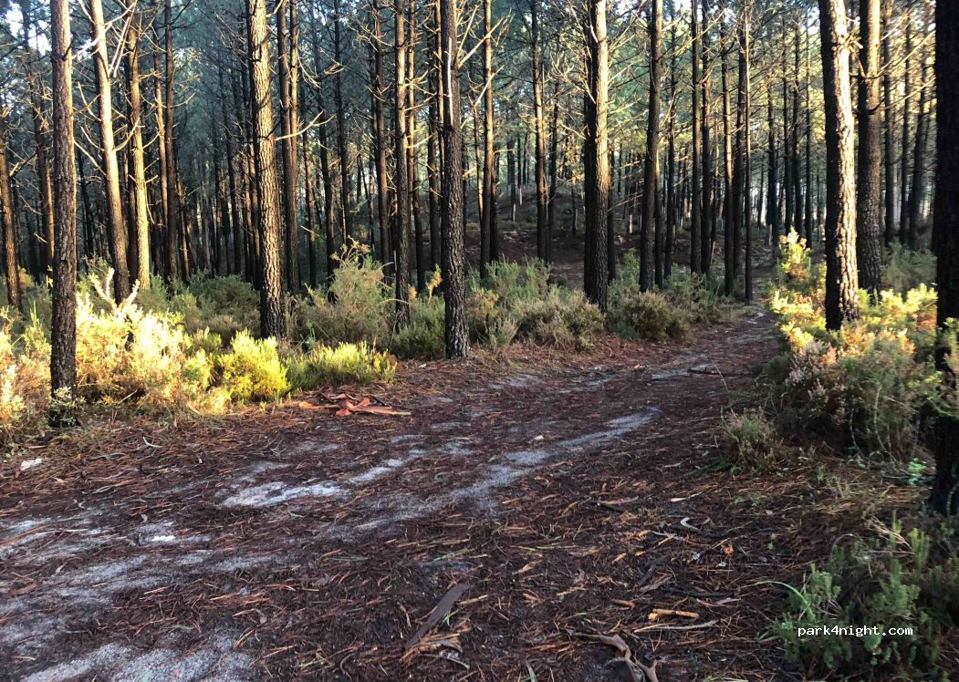 Pataias, thumbnail 4