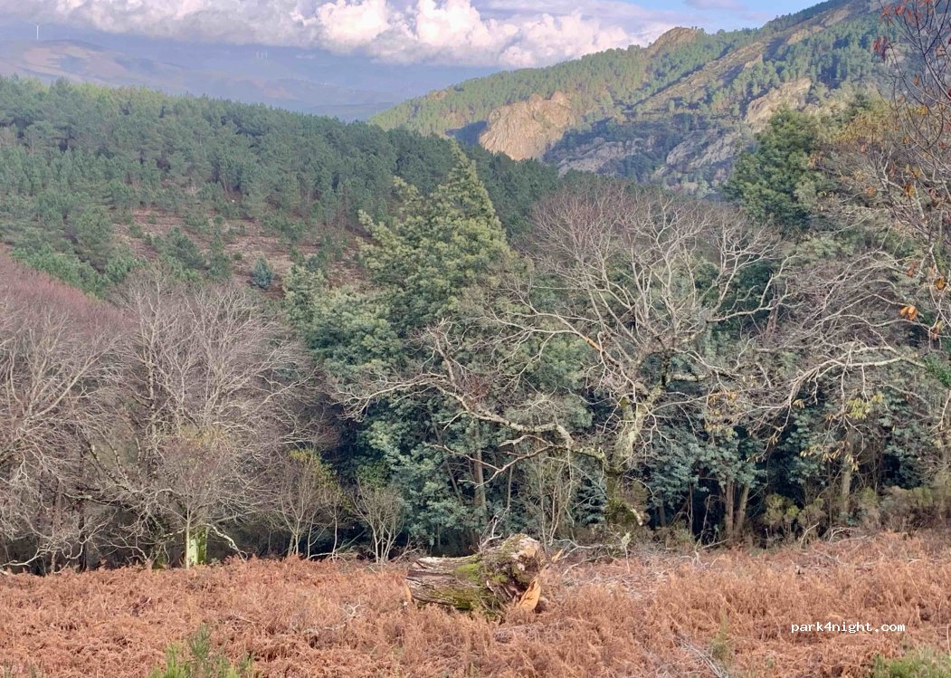 Aigra Velha, thumbnail 3