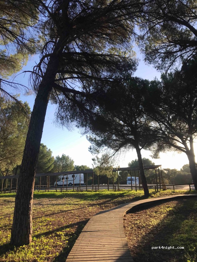 El Rocío,Carr. Carril del Acebrón thumbnail 3