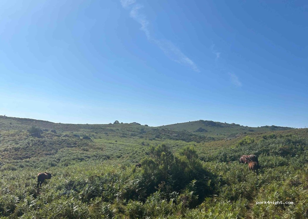 Cibões, thumbnail 4