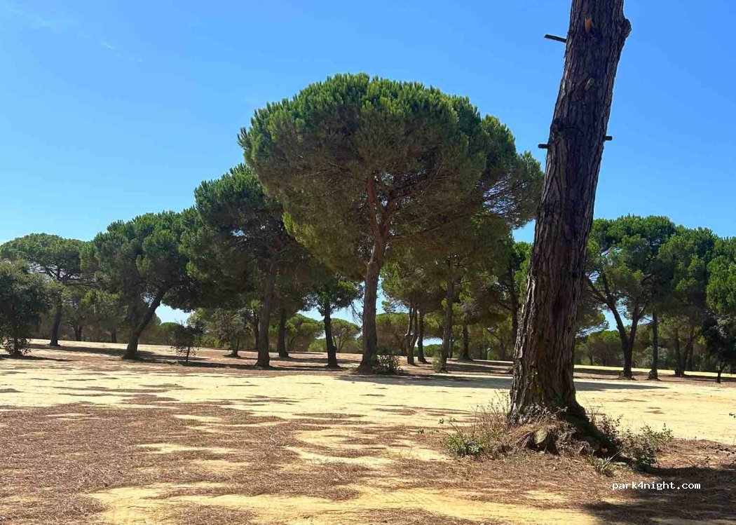 Casa do Infantado, thumbnail 4