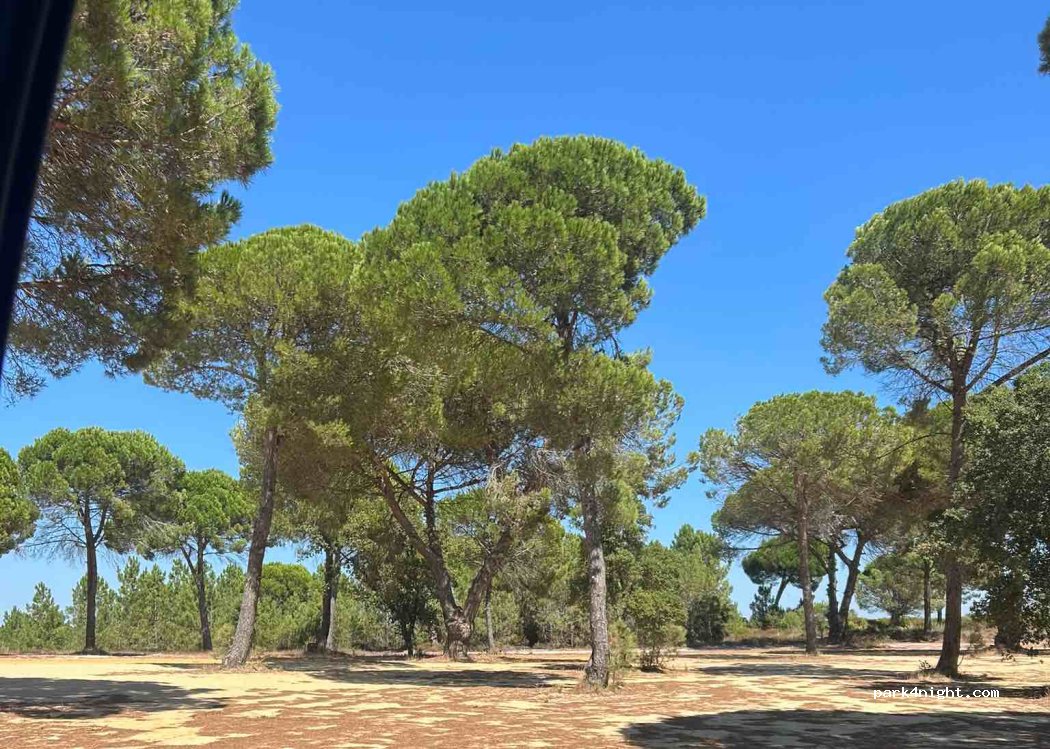 Casa do Infantado, thumbnail 5