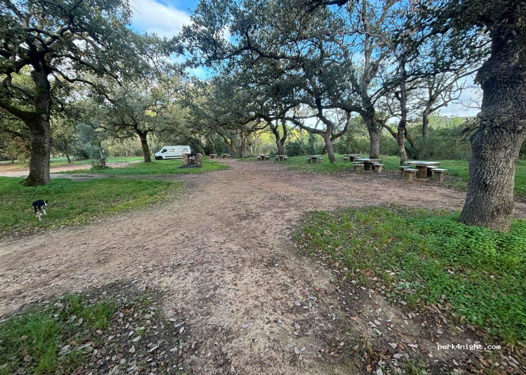 Azeitão,N379-1 thumbnail 3