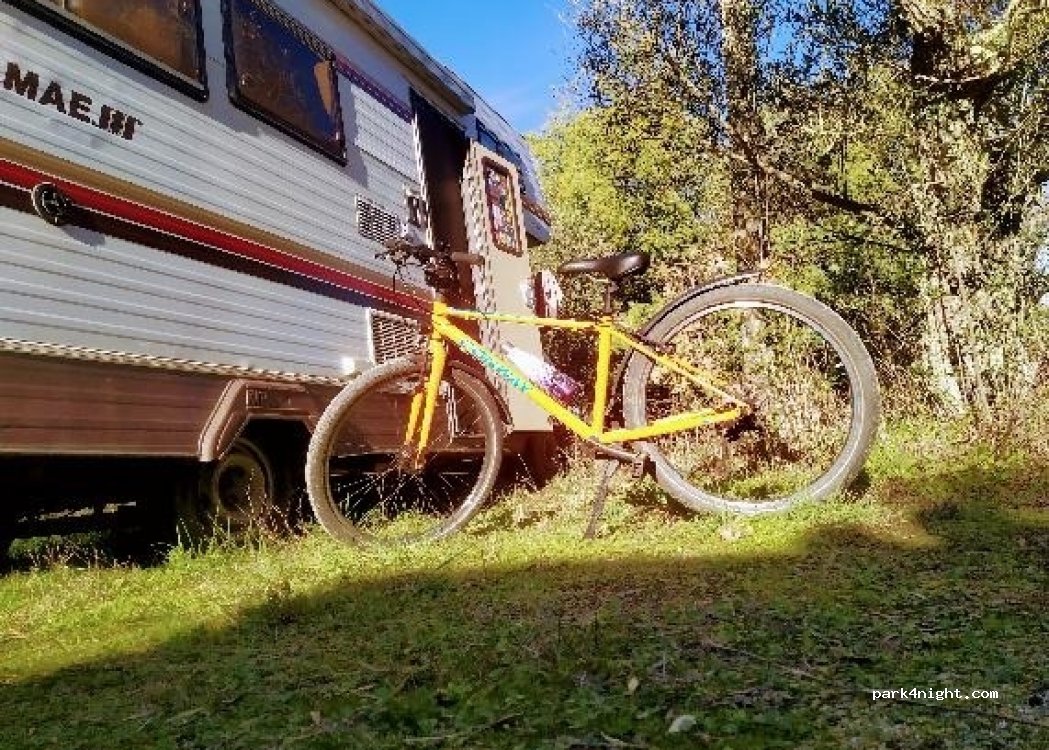 Casa Fluxus thumbnail 4