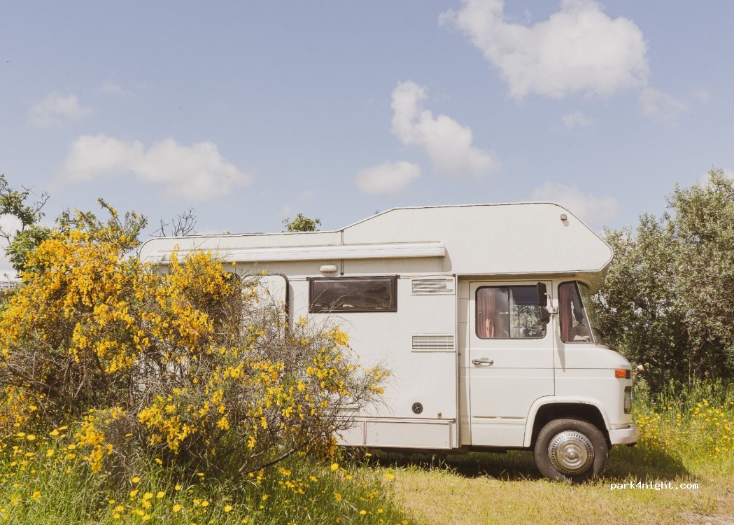 Casa Fluxus thumbnail 5