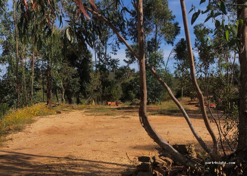 Barão de São João, thumbnail 4