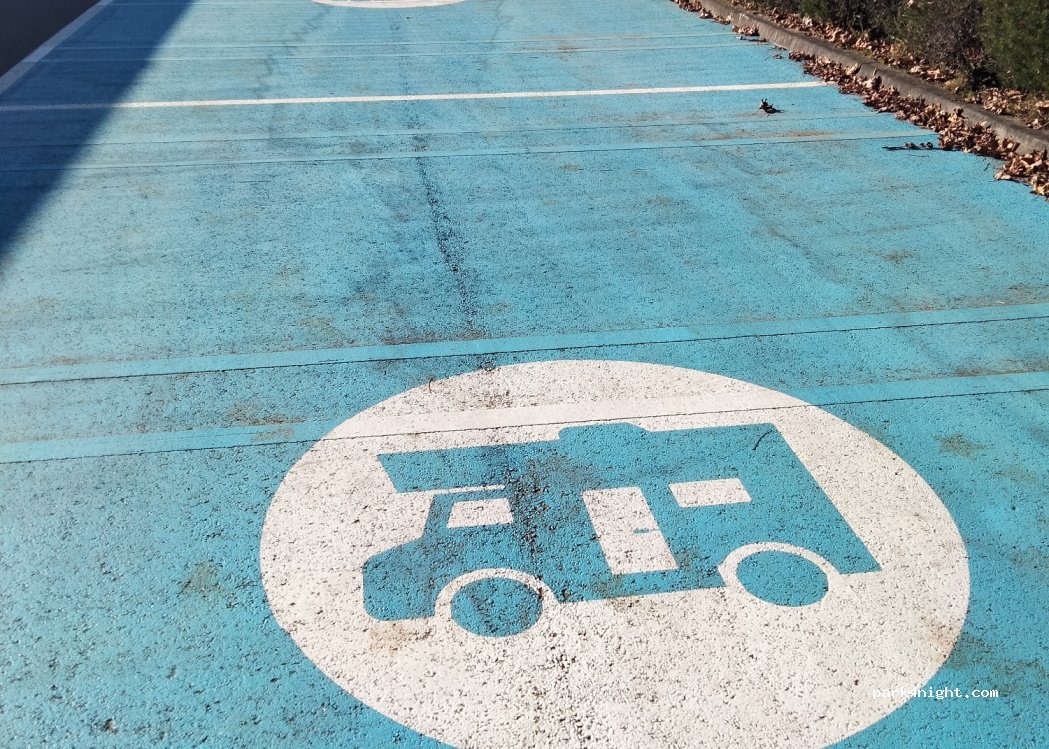 Ponte de Lima, 123 Rua Conde de Aurora thumbnail 3