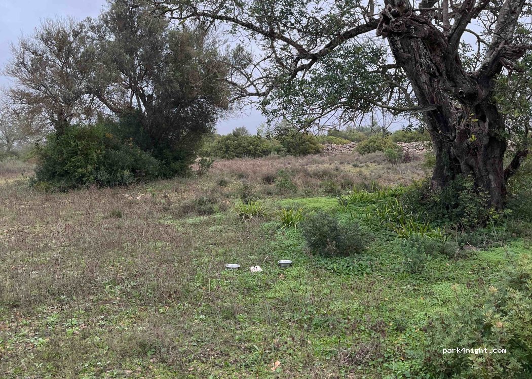 Albufeira, thumbnail 5