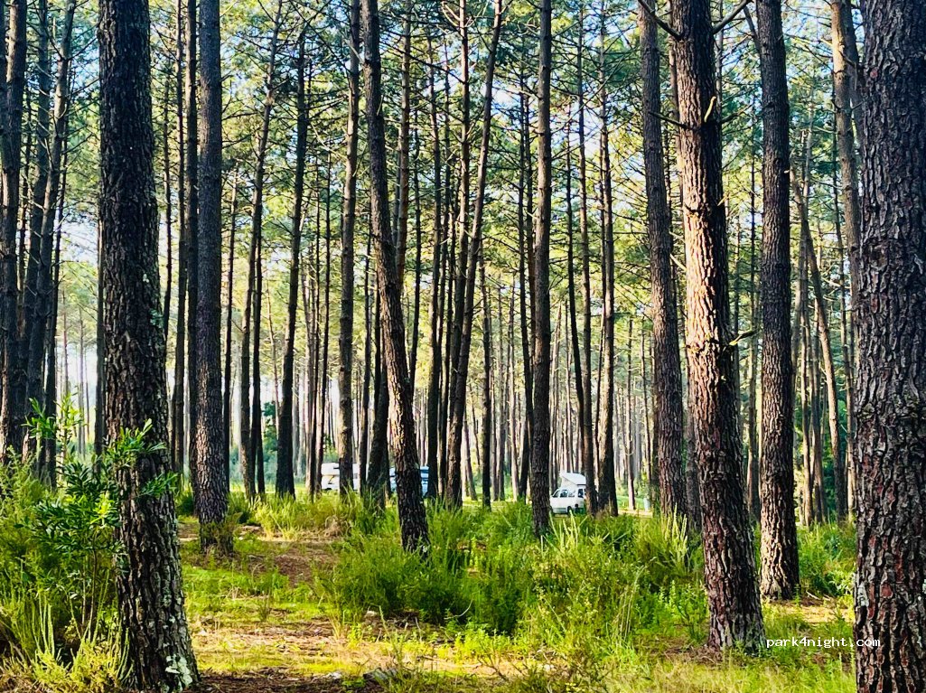 Valado dos Frades, thumbnail 5