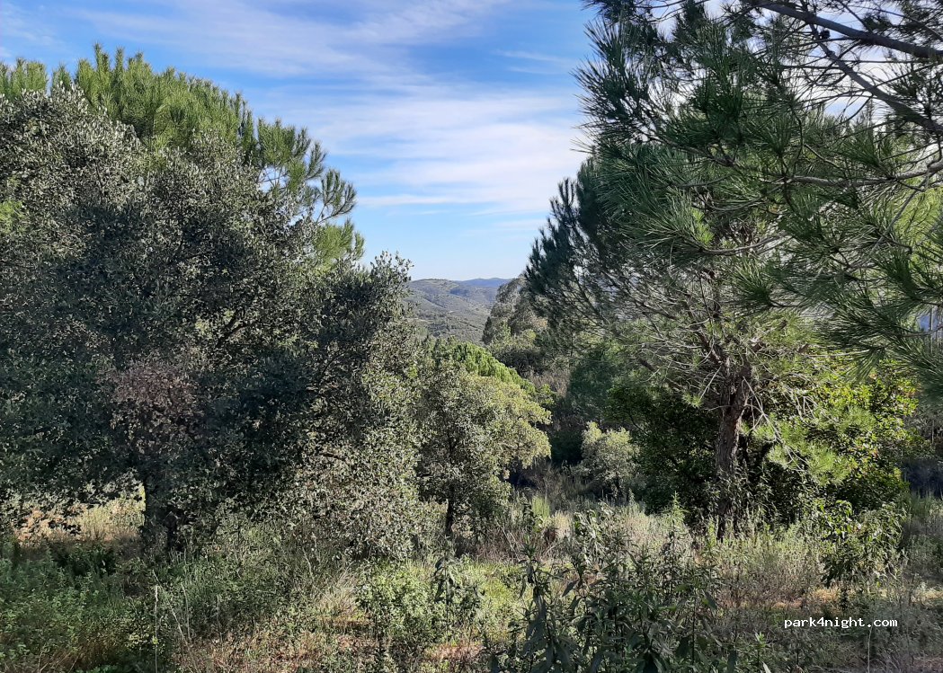 Querença,ER124 thumbnail 2