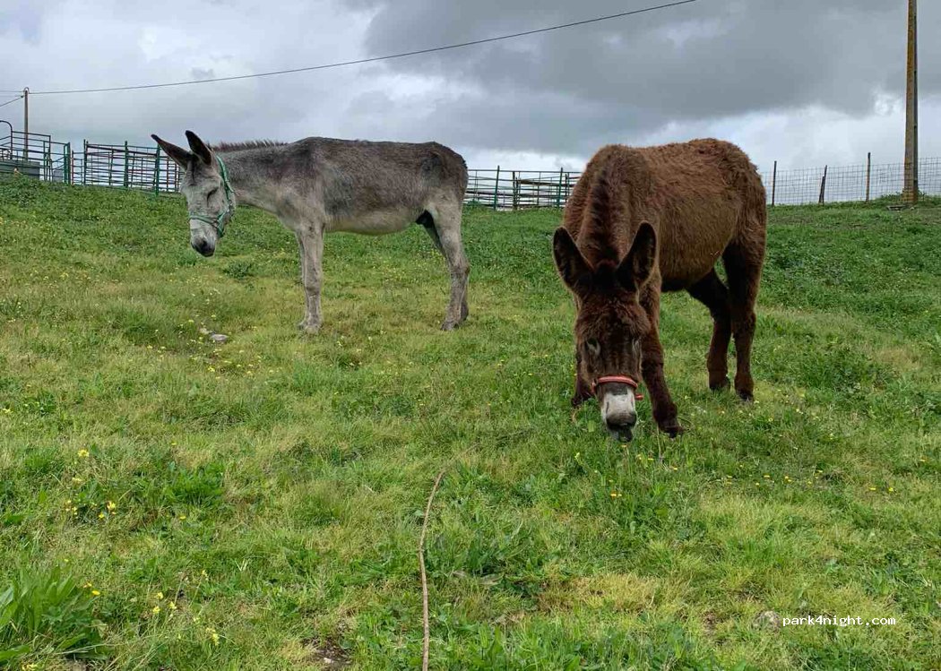 Monte da Vaquinha thumbnail 2