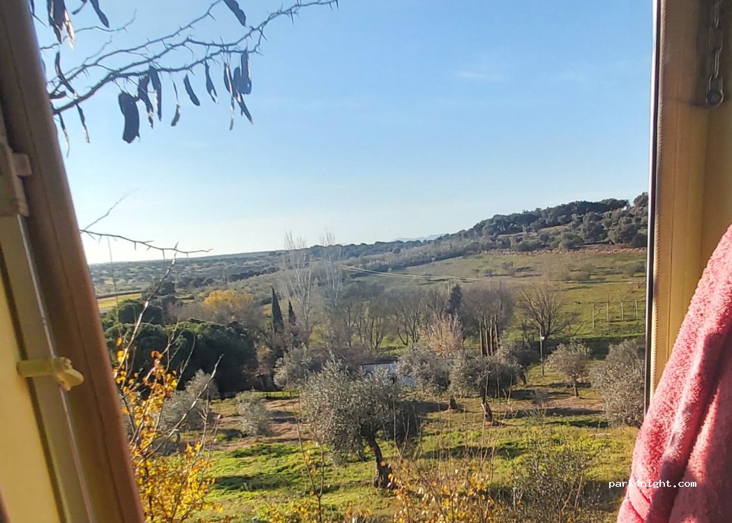 Torrejón el Rubio, EX-208 thumbnail 3