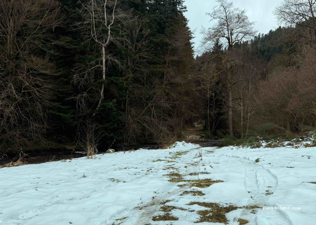 Saint-Pal-de-Senouire - La Prade photo 5