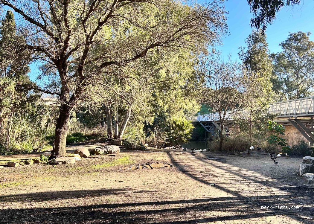 Los Barrios - CA-9209 photo 2