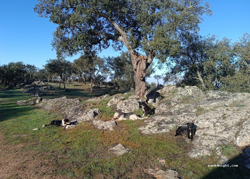 Cumbres de San Bartolomé, 59 Diseminado Diseminados thumbnail 5