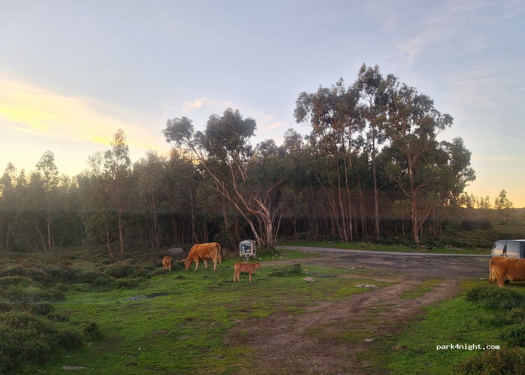 Monchique, thumbnail 5