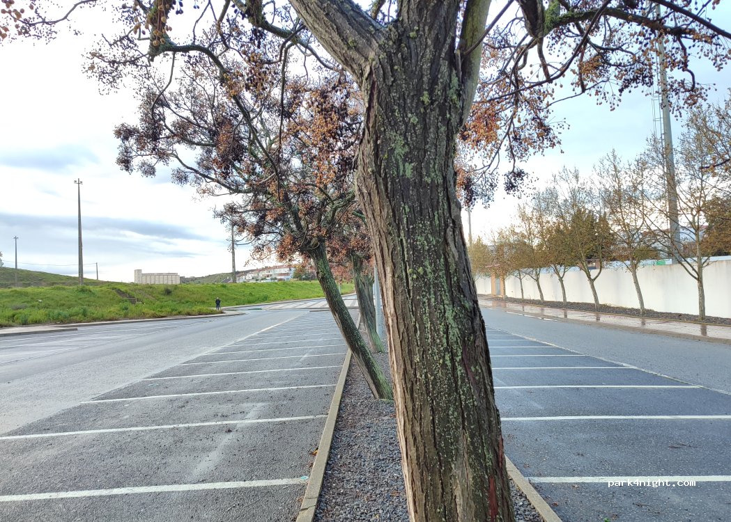 Aljustrel, 13 Estrada de Aljustrel thumbnail 4