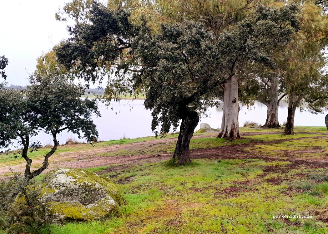 Casar de Cáceres, 2 Poligono Peri thumbnail 4