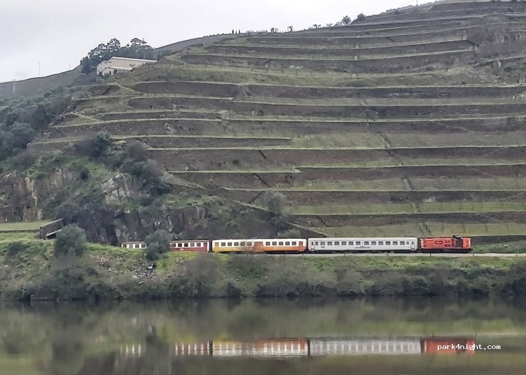 Pesqueira,1937 N323 thumbnail 3