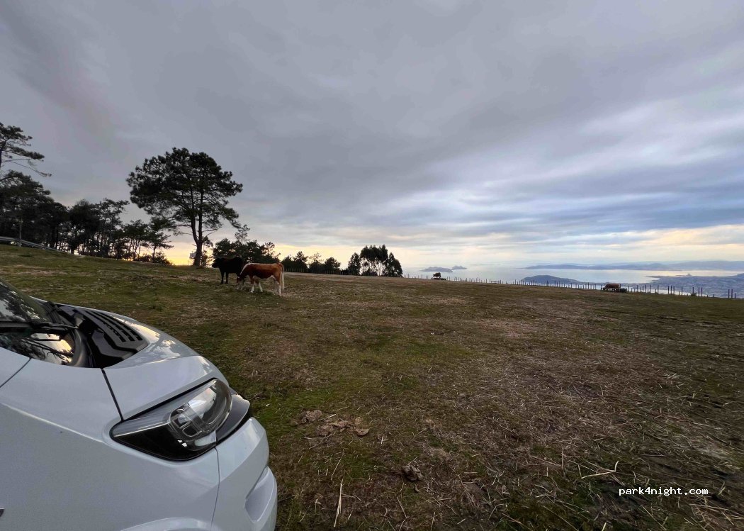 Bayona,  EP-2202 thumbnail 3