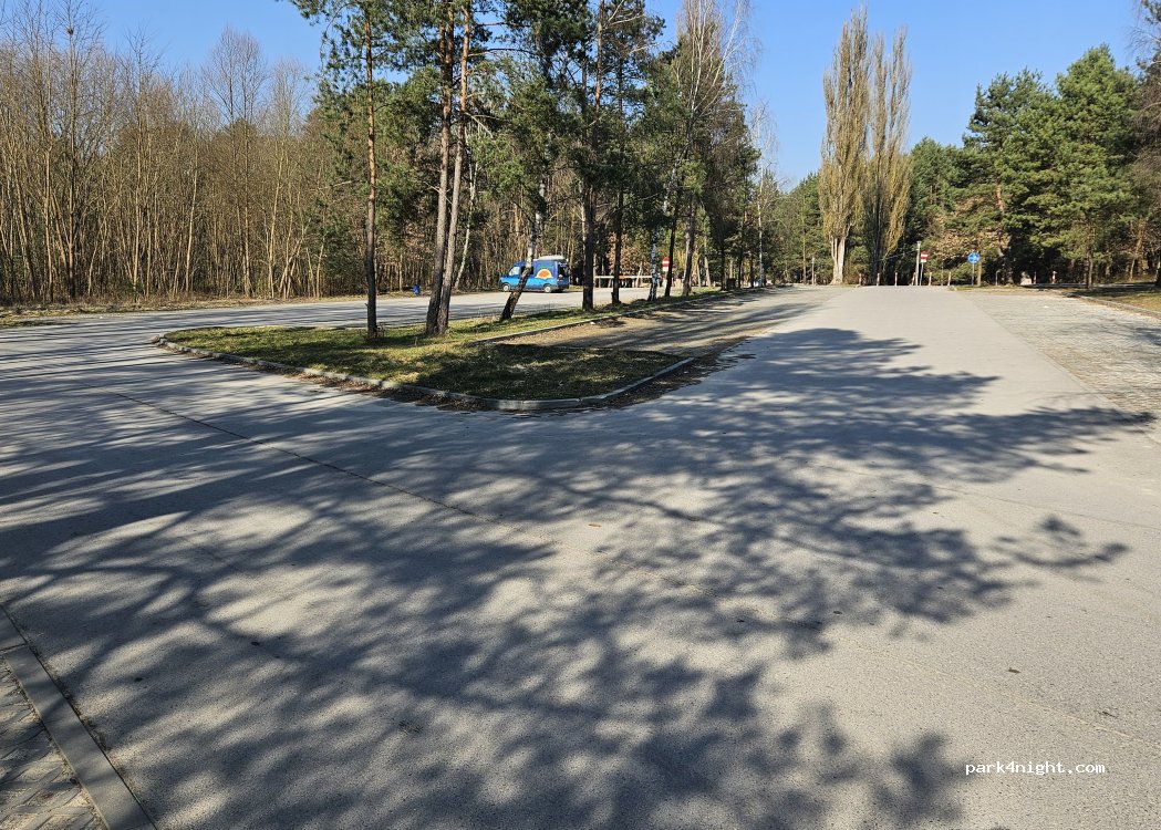 (26-008) Leszczyny - Unnamed Road photo 5