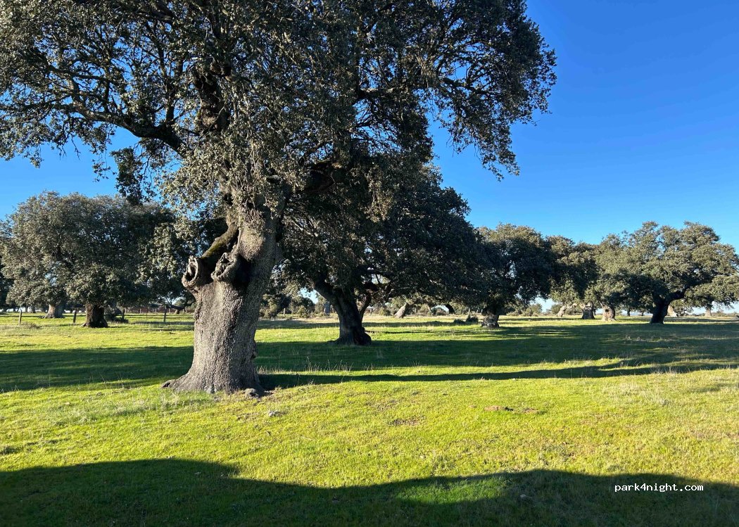 San Muñoz, thumbnail 2