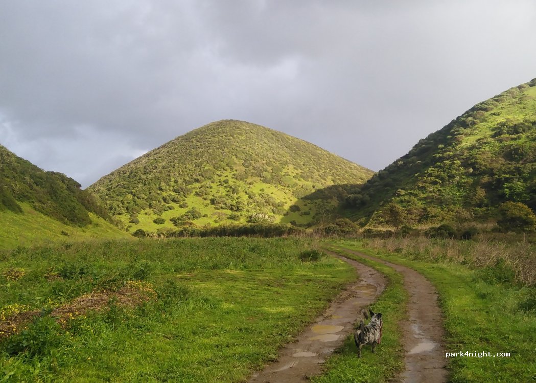 Bordeira SpaceGarden thumbnail 5