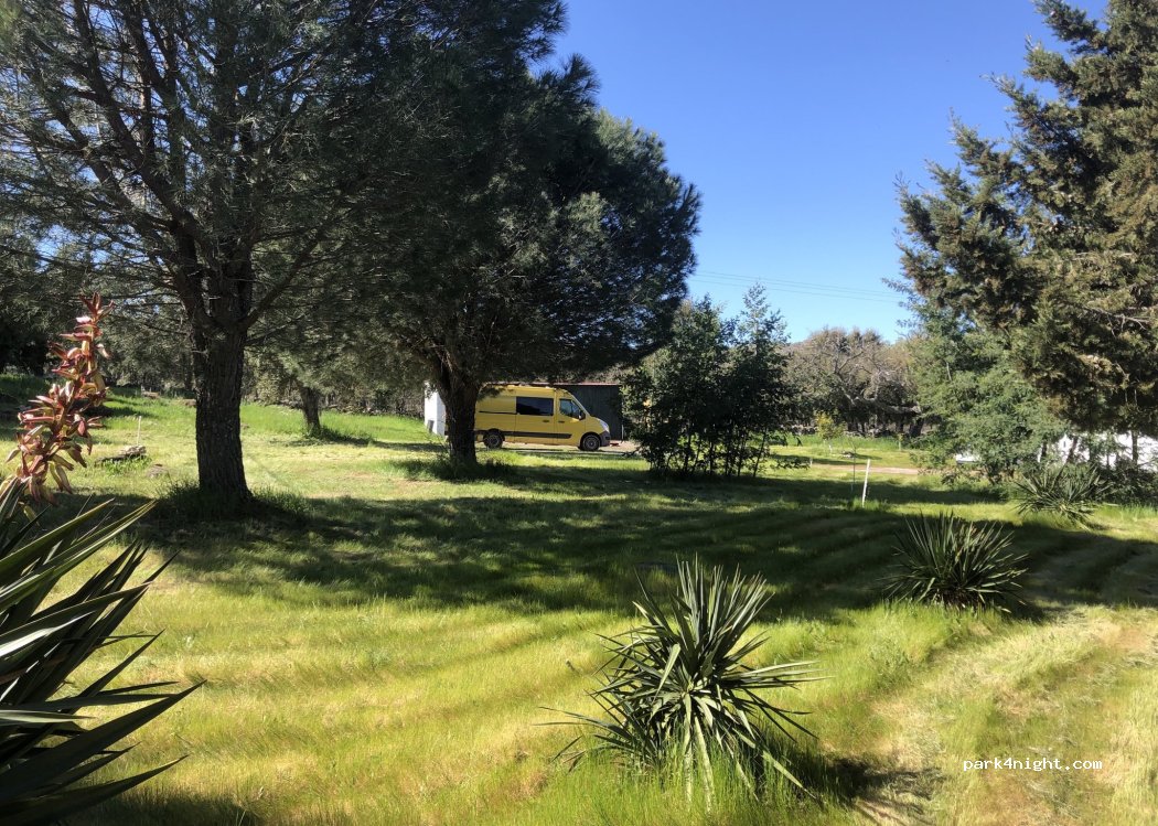 San Pedro, thumbnail 5