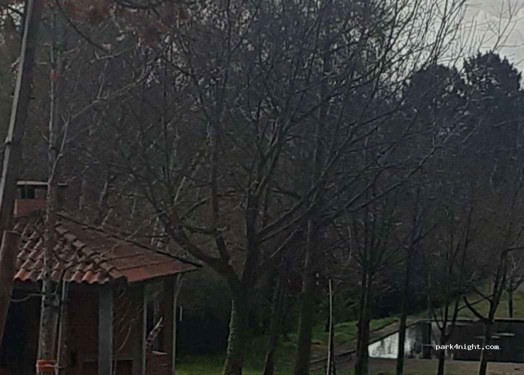 Sapiãos,Bairro Tornadouro thumbnail 5