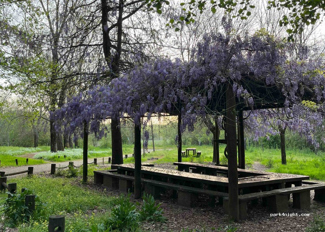 Espinhel,Rua Pateira thumbnail 5