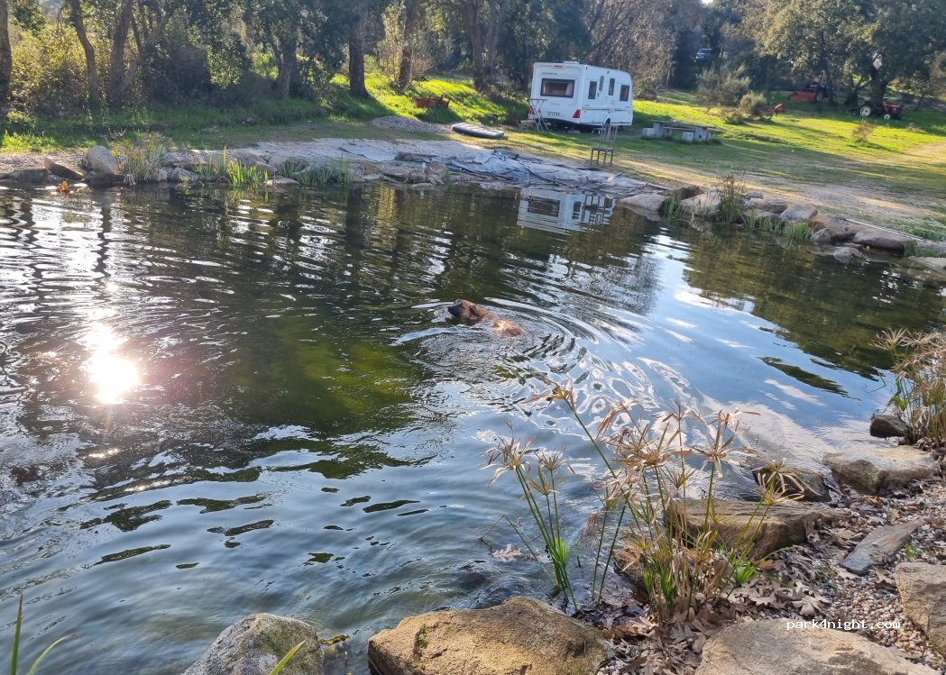 Póvoa de Rio de Moinhos, thumbnail 5