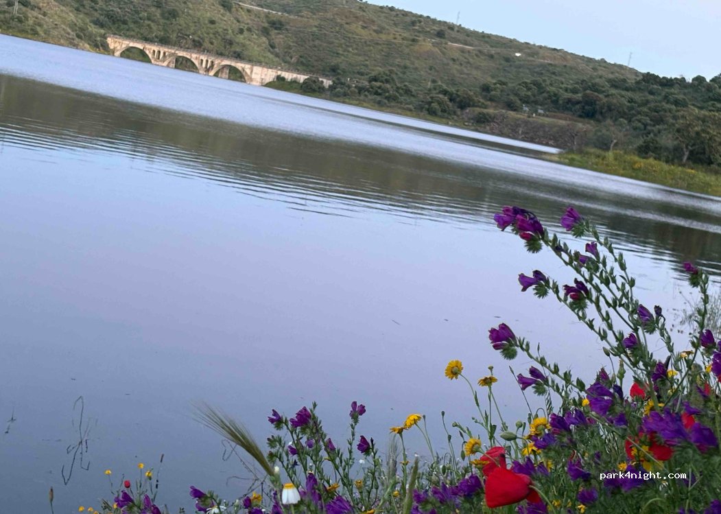 Garrovillas de Alconétar,  Unnamed Road thumbnail 5