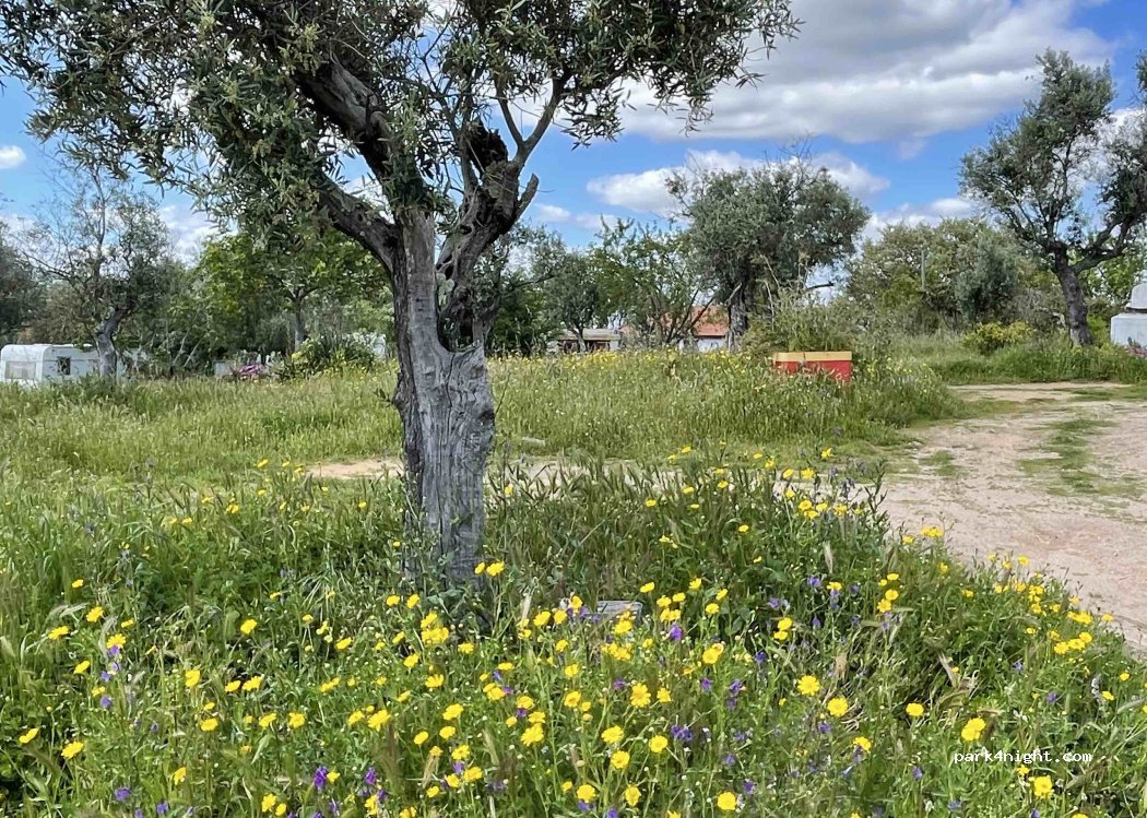 Quinta do Pomarinho thumbnail 2