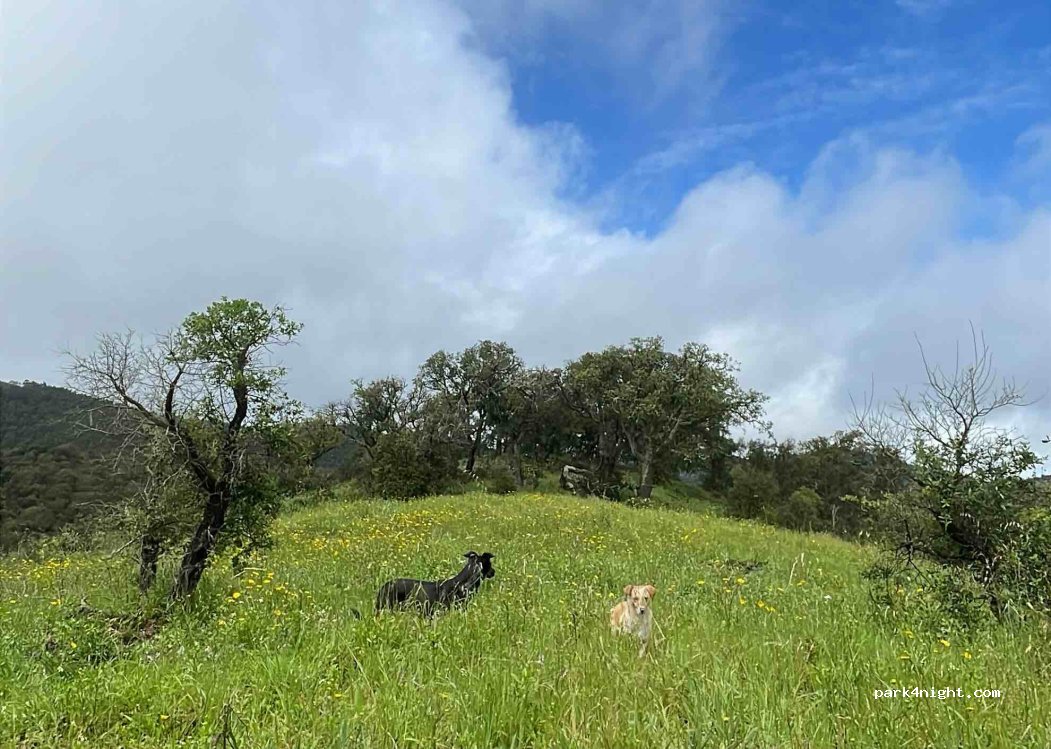 São Luís, thumbnail 2