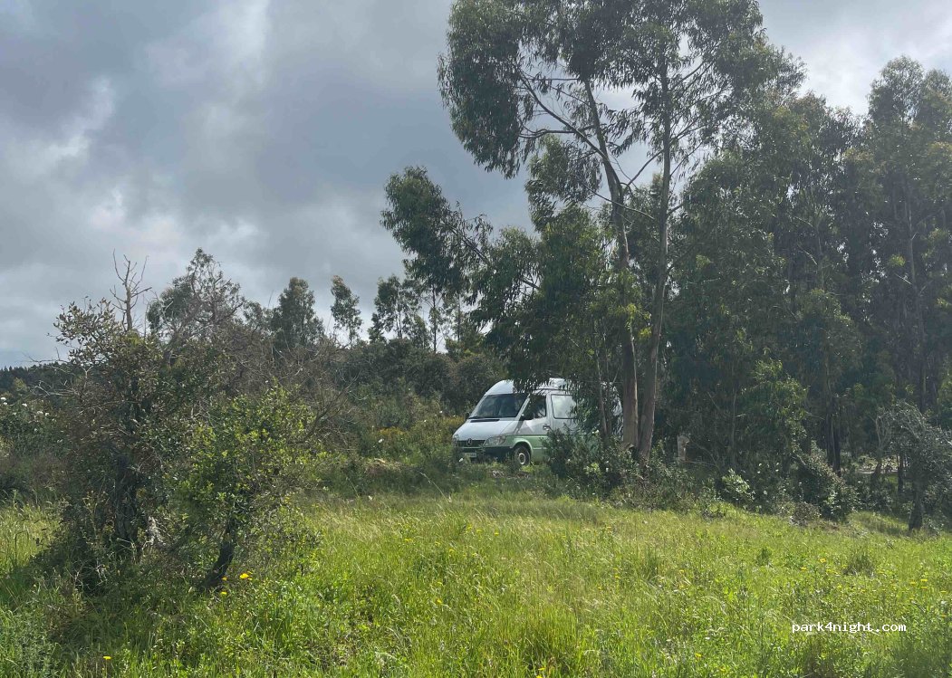 São Luís, thumbnail 3