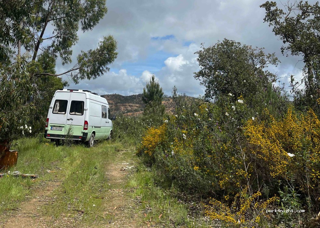 São Luís, thumbnail 4