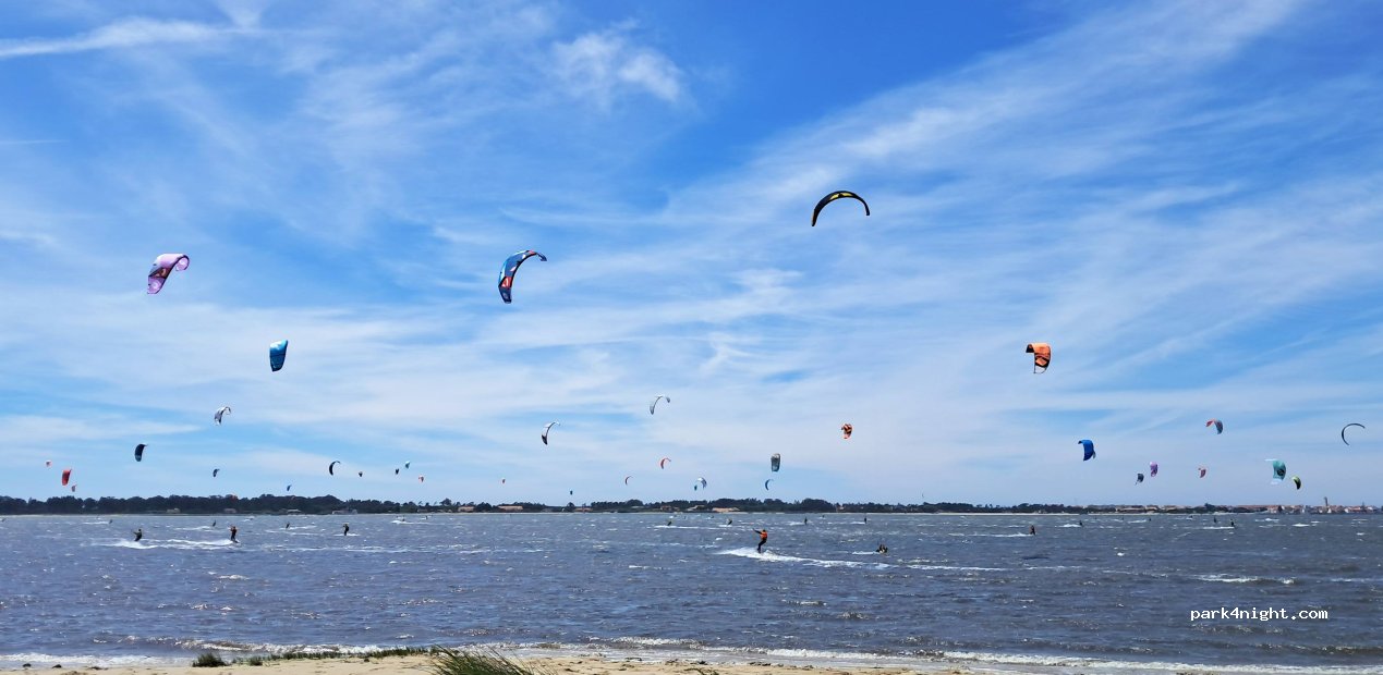 Private Farm in Ria de Aveiro Lagoon thumbnail 9