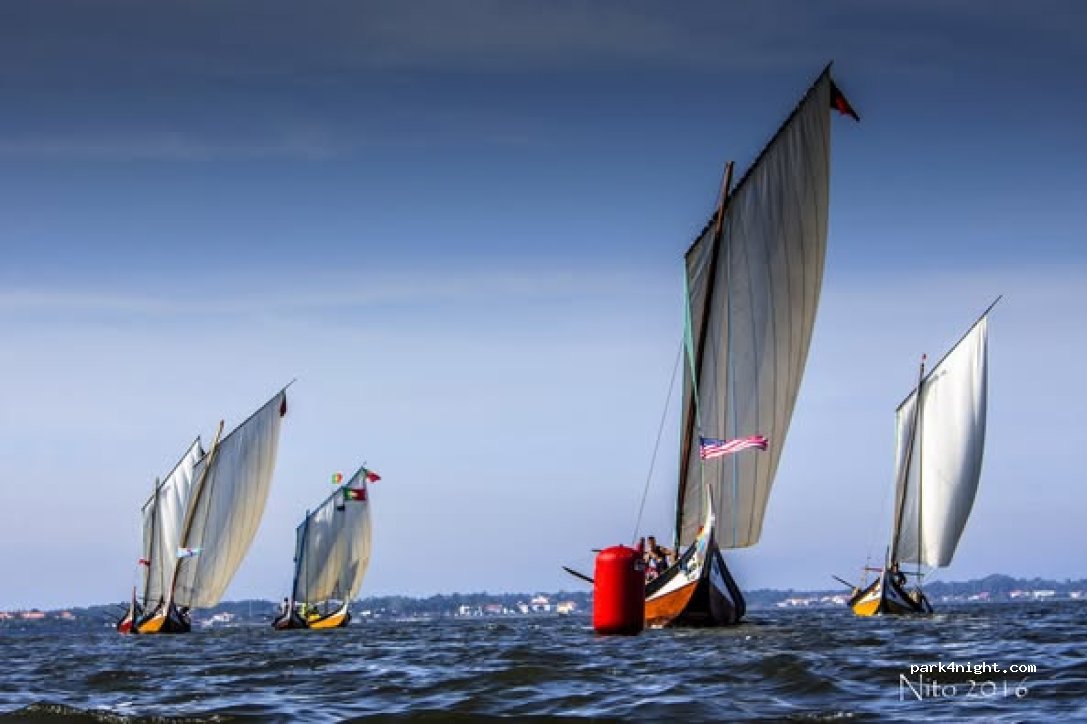 Private Farm in Ria de Aveiro Lagoon thumbnail 10