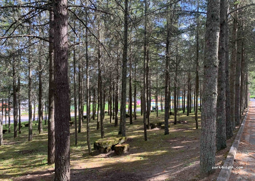 Vila Flor,Unnamed Road thumbnail 2