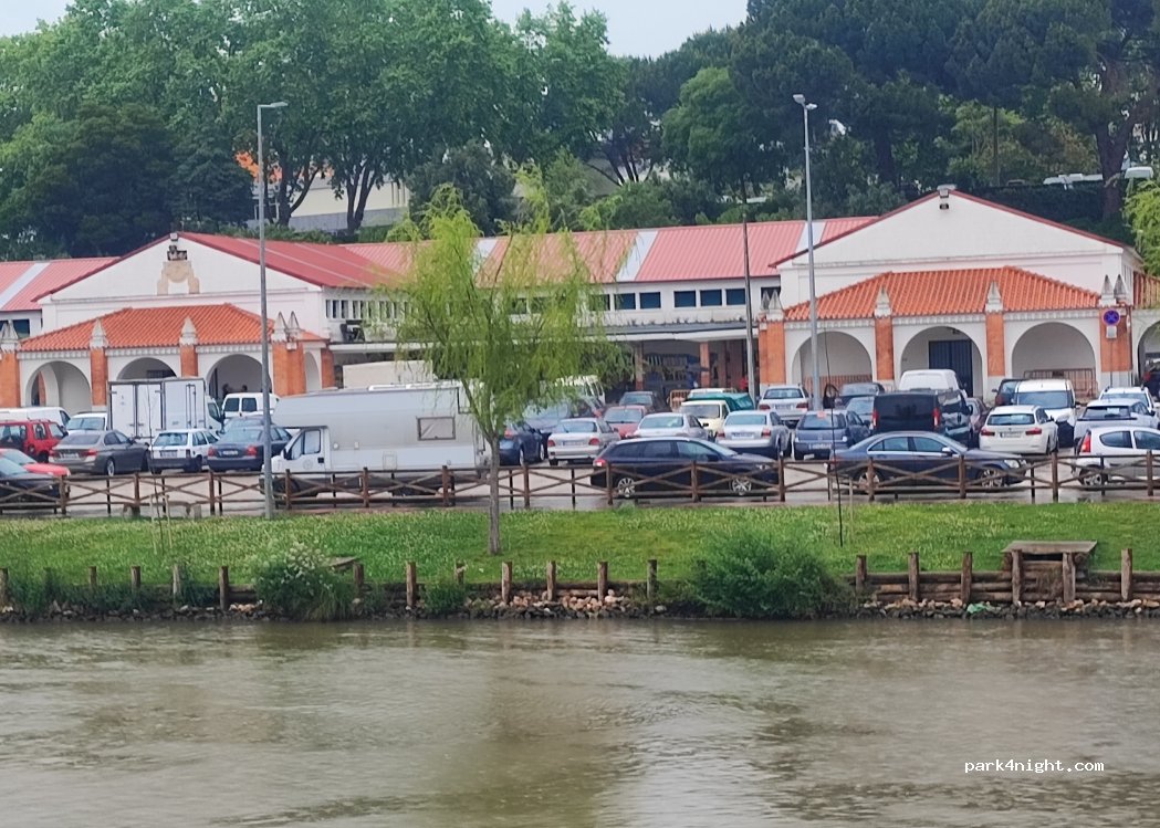 Tomar, 14 Travessa João Freire Gameiro thumbnail 5