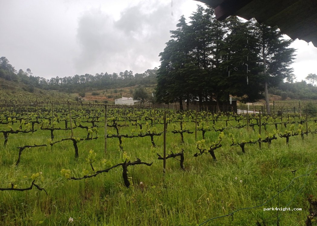 Quinta Chão de Lamas thumbnail 2